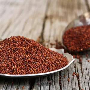 Finger Millet (Ragi)