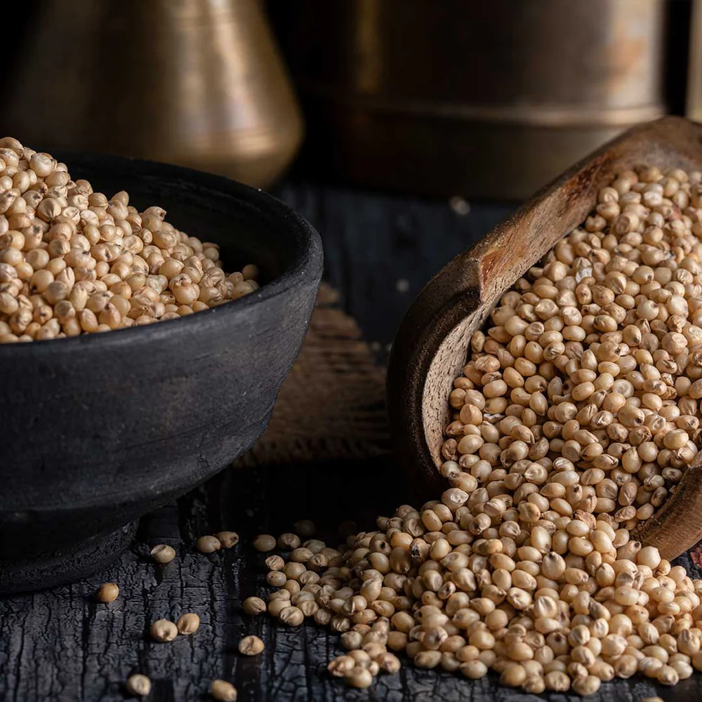 Sorgum (Jowar) Millet - Image 4